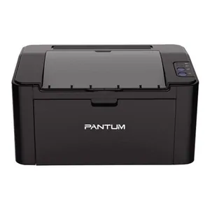 Замена лазера на принтере Pantum P2207 в Ростове-на-Дону